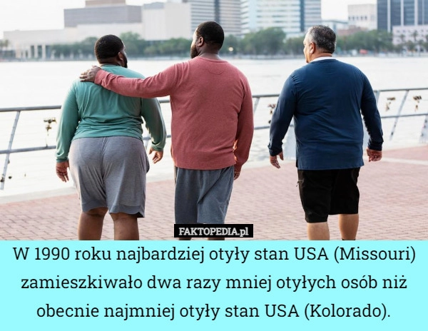 
    W 1990 roku najbardziej otyły stan USA (Missouri) zamieszkiwało dwa razy