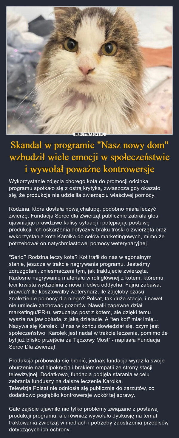 
    Skandal w programie "Nasz nowy dom" wzbudził wiele emocji w społeczeństwie i wywołał poważne kontrowersje