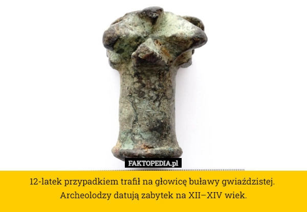 
    12-latek przypadkiem trafił na głowicę buławy gwiaździstej. 
Archeolodzy