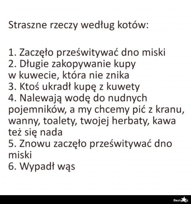 
    Straszne rzeczy według kota 