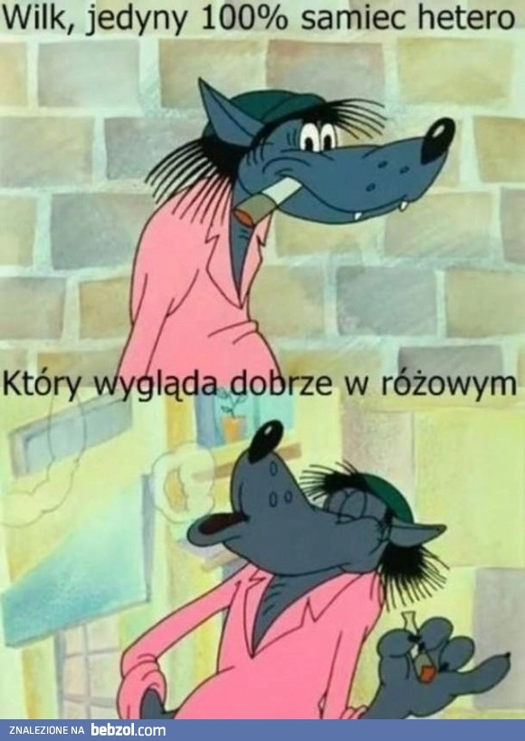 
    Wilk
