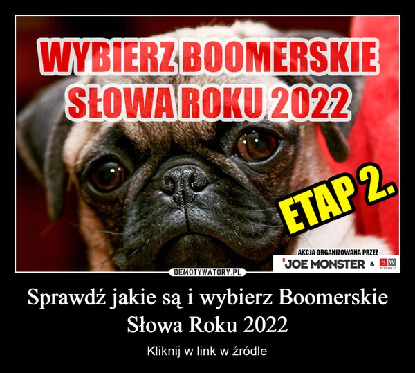 
    
Sprawdź jakie są i wybierz Boomerskie Słowa Roku 2022 