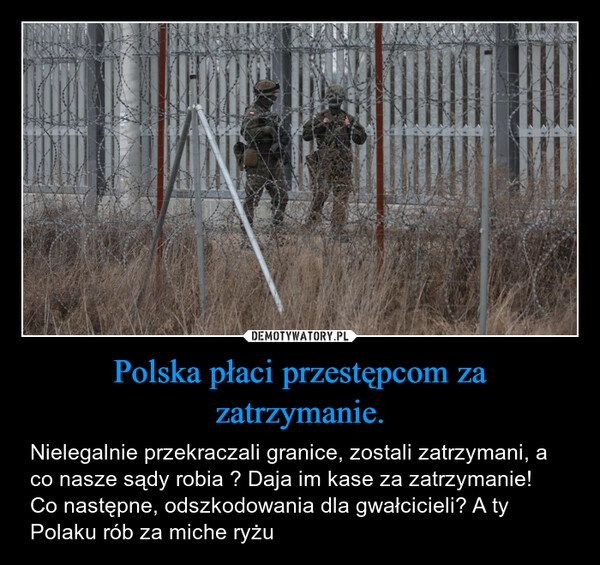 
    Polska płaci przestępcom za zatrzymanie.
