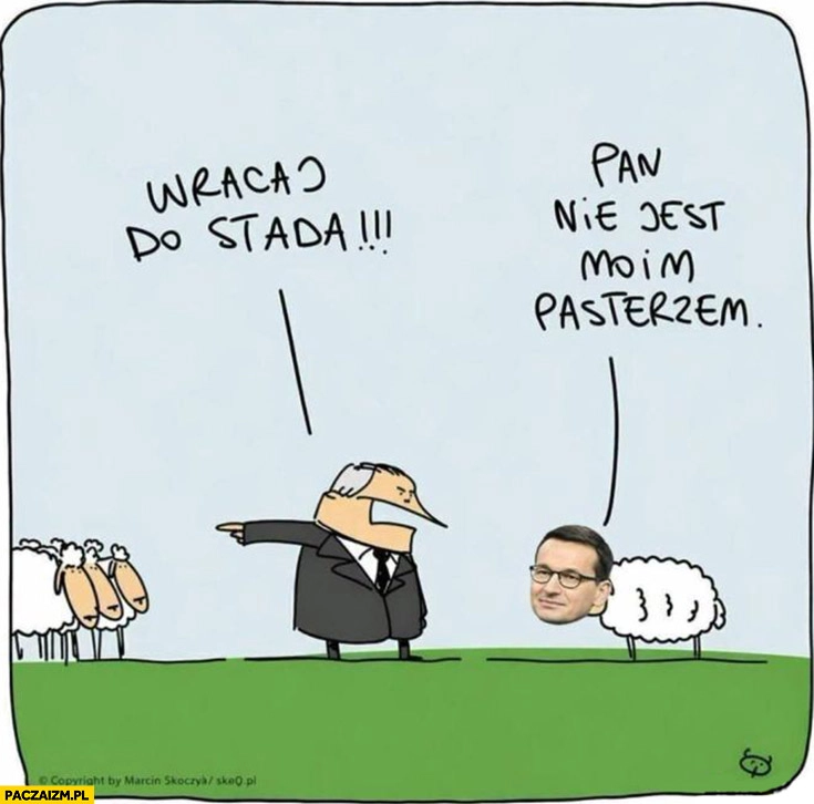 
    Kaczyński: wracaj do stada, Morawiecki: pan nie jest moim pasterzem
