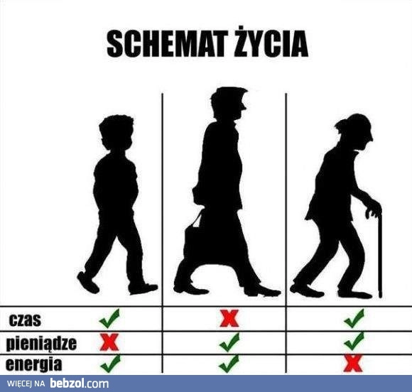 
    Schemat życia