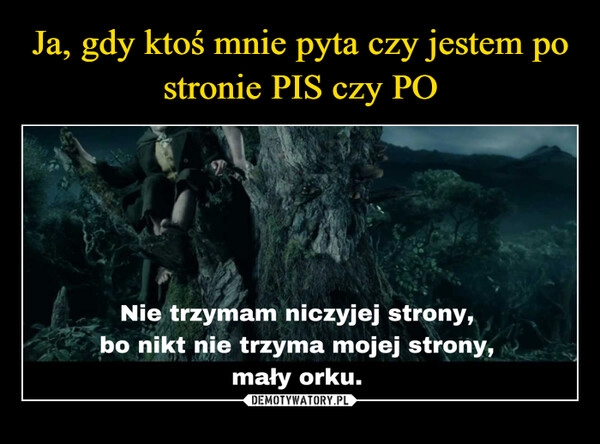 
    Ja, gdy ktoś mnie pyta czy jestem po stronie PIS czy PO 