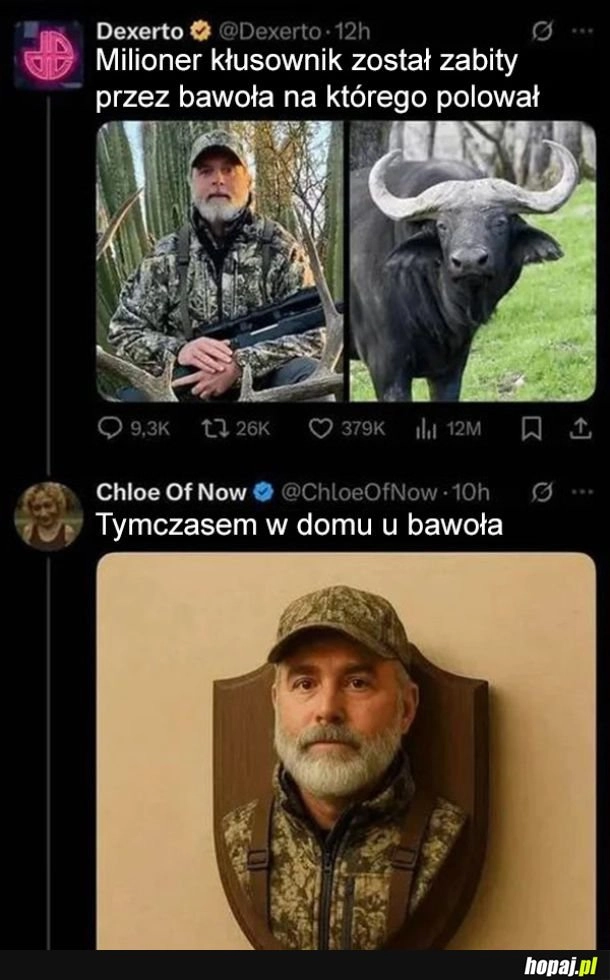 
    Tymczasem w domu bawoła