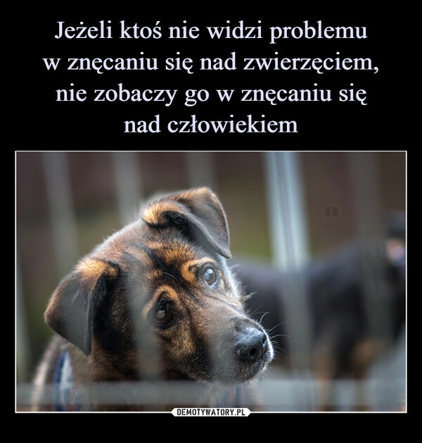 
    Jeżeli ktoś nie widzi problemu
w znęcaniu się nad zwierzęciem,
nie zobaczy go w znęcaniu się
nad człowiekiem