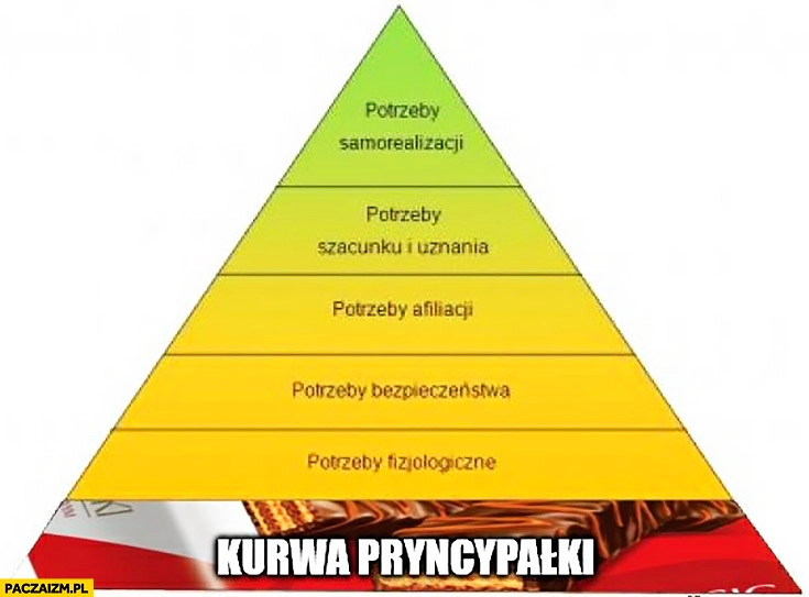 
    Piramida Masłowa na samym dole kurna pryncypałki