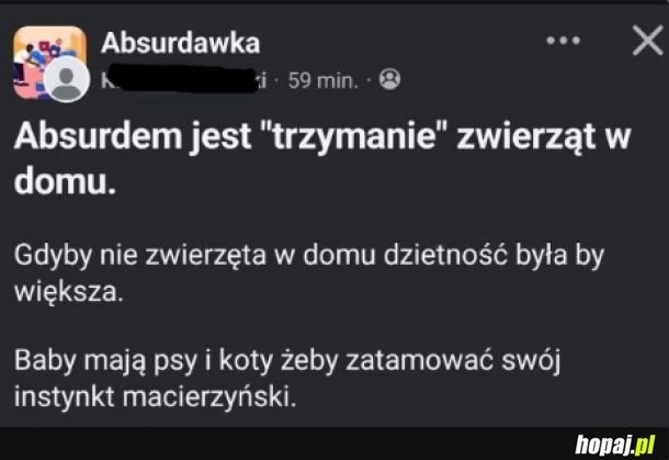 
    Spisek kobiet