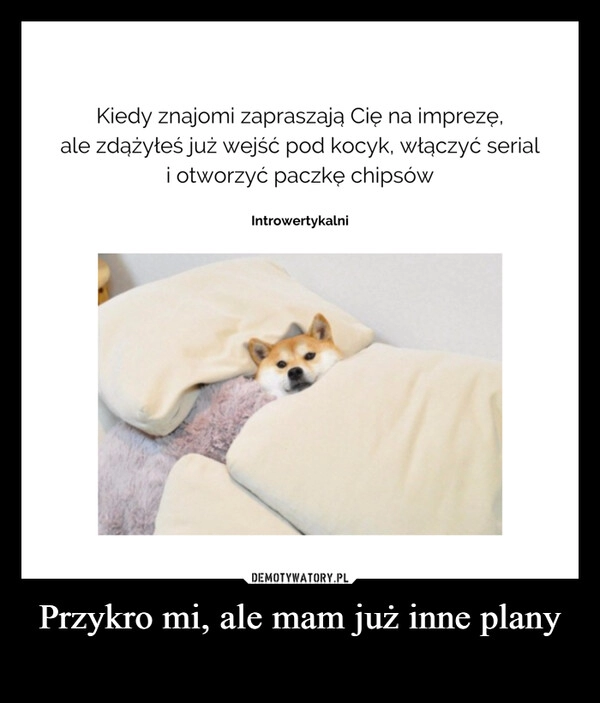 
    Przykro mi, ale mam już inne plany 