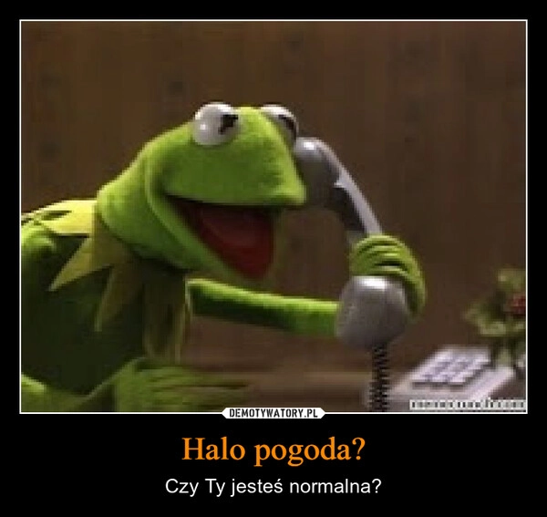 
    Halo pogoda?