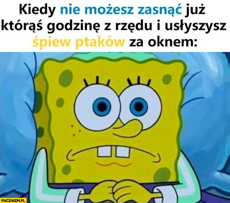 
    Spongebob kiedy nie możesz zasnąć już któraś godzinę z rzędu i usłyszysz śpiew ptaków za oknem