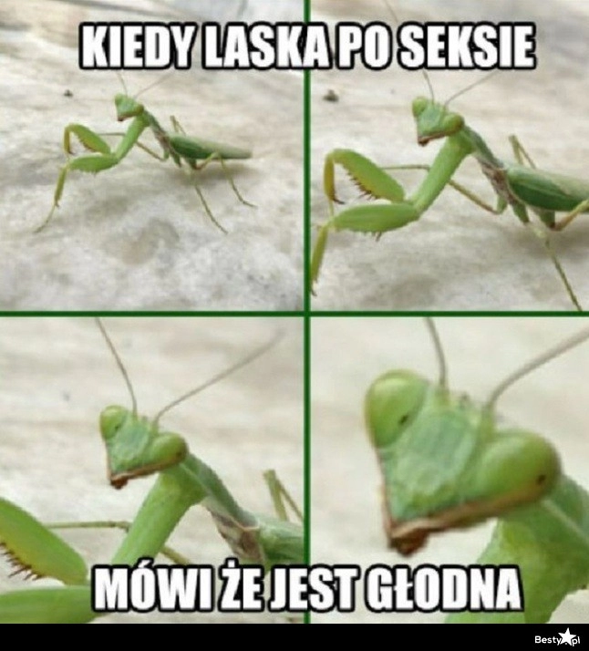 
    Pora się pożywić 