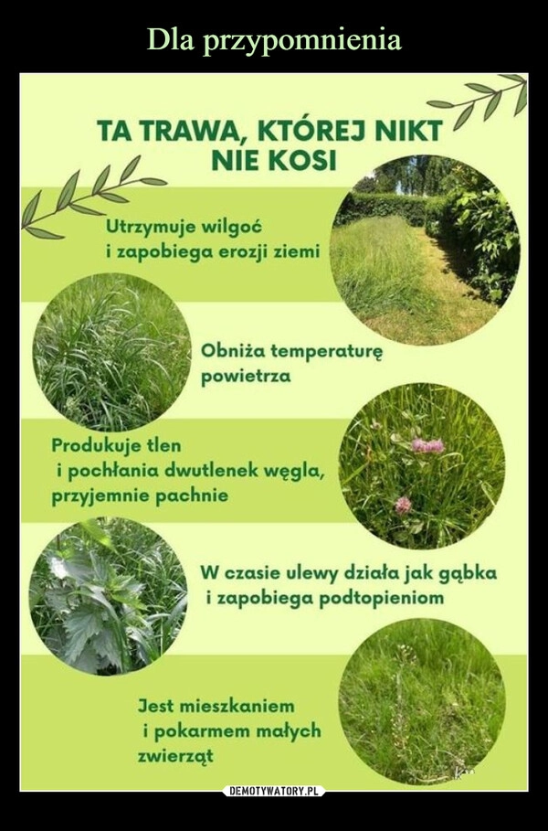 
    Dla przypomnienia