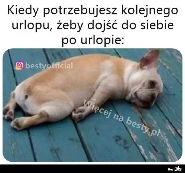 
    Przydałby się taki 