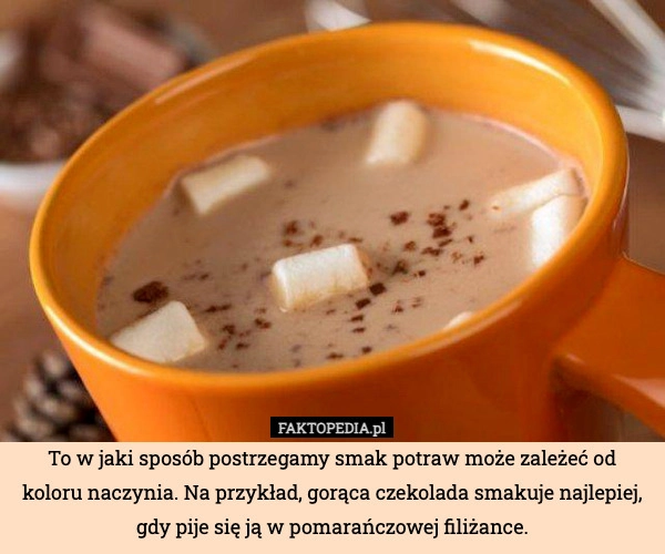 
    To w jaki sposób postrzegamy smak potraw może zależeć od koloru naczynia.