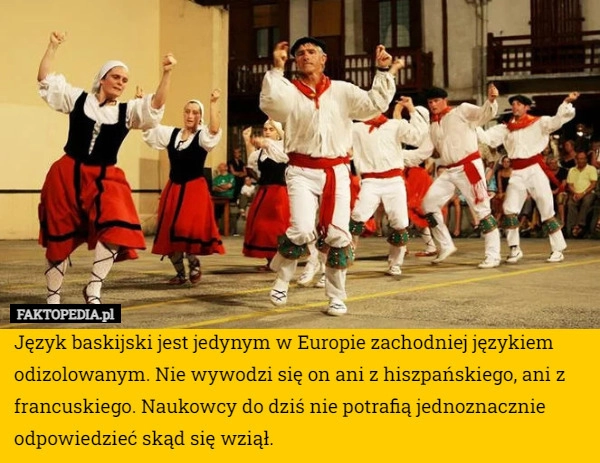 
    Język baskijski jest jedynym w Europie zachodniej językiem odizolowanym.