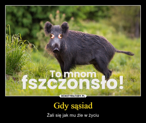 
    Gdy sąsiad