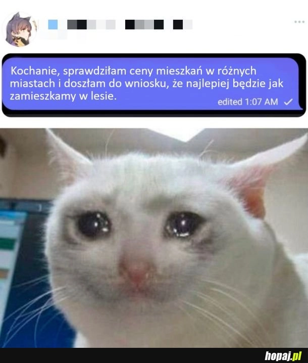 
    Pozostało zbudować szałas w lesie