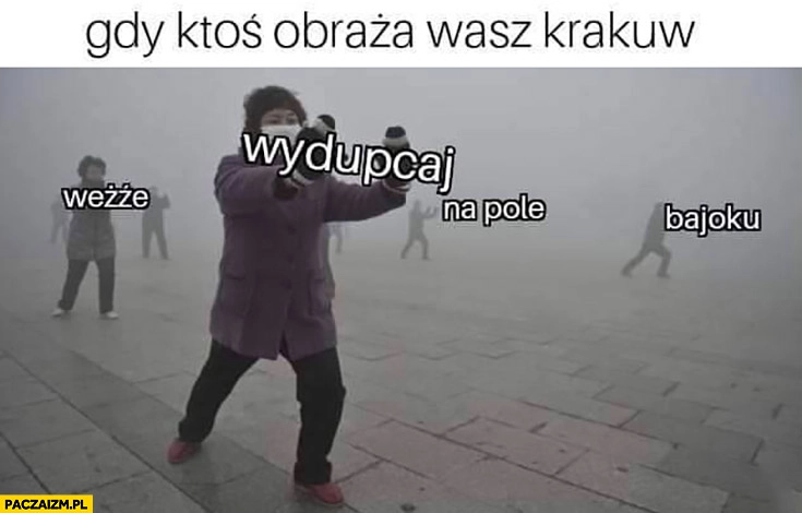 
    Gdy ktoś obraza wasz Kraków weźże wydupcaj na pole bajoku