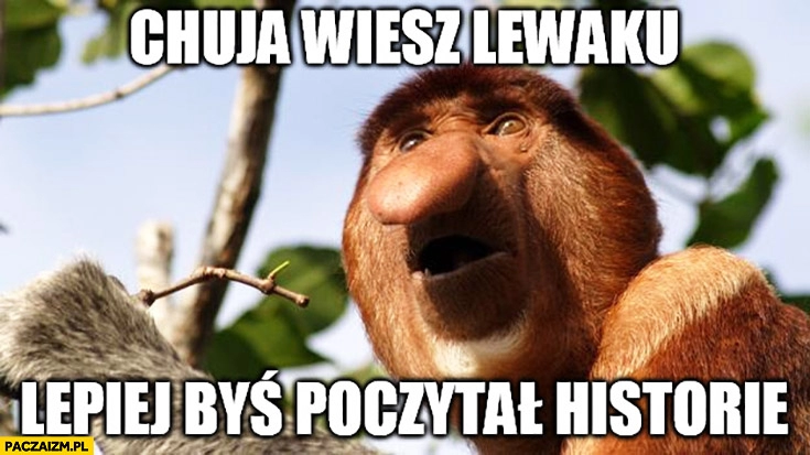 
    Co ty tam wiesz lewaku, lepiej byś poczytał historię. Typowy Polak nosacz