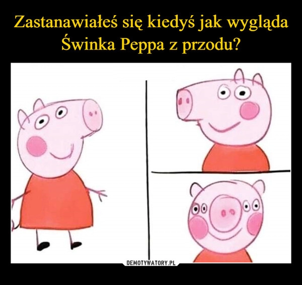 
    Zastanawiałeś się kiedyś jak wygląda Świnka Peppa z przodu?