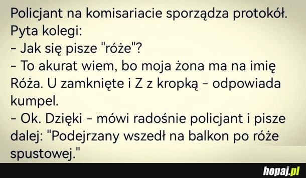 
    Róża
