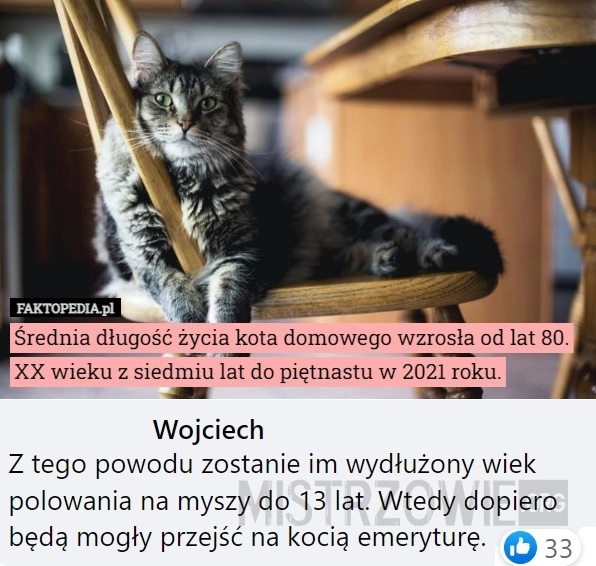 
    Średnia długość