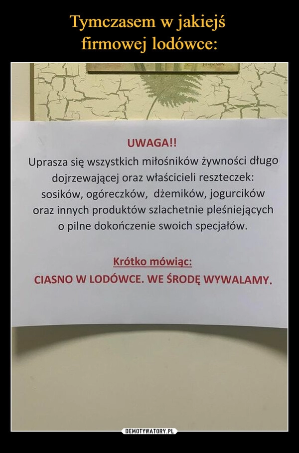 
    Tymczasem w jakiejś
firmowej lodówce: 