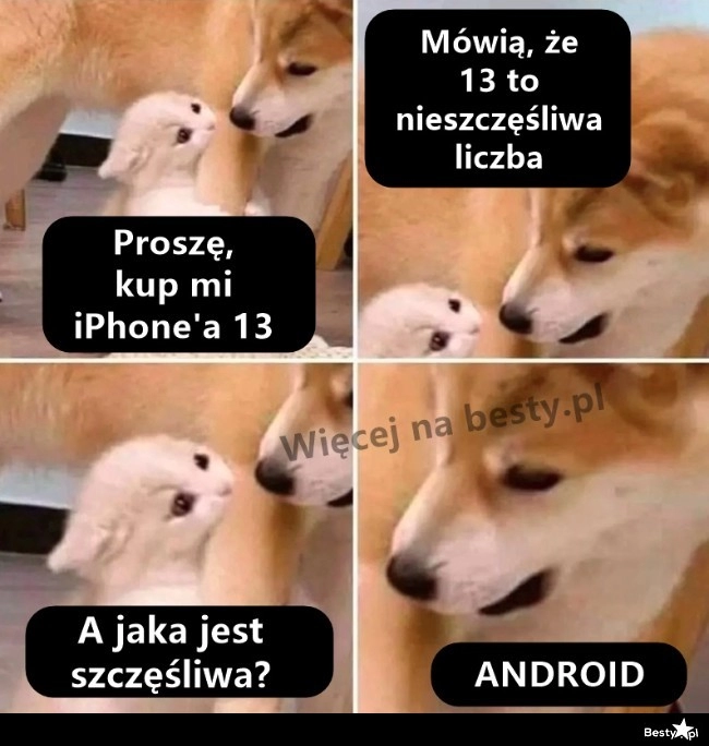 
    Szczęśliwa liczba 