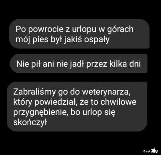 
    Powrót z urlopu 