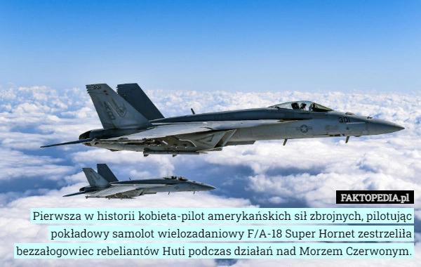 
    Pierwsza w historii kobieta-pilot amerykańskich sił zbrojnych, pilotując