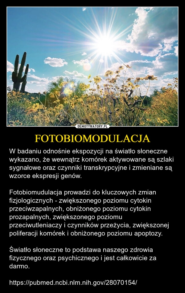 
    FOTOBIOMODULACJA