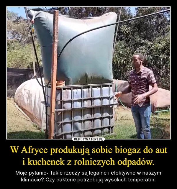 
    W Afryce produkują sobie biogaz do aut i kuchenek z rolniczych odpadów.