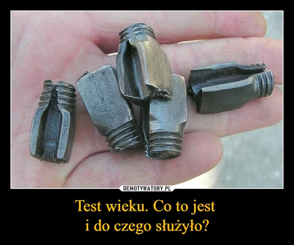 
    Test wieku. Co to jest 
i do czego służyło?