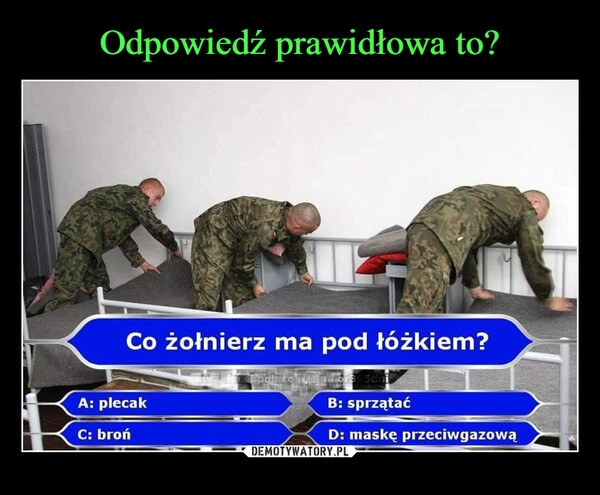 
    Odpowiedź prawidłowa to?