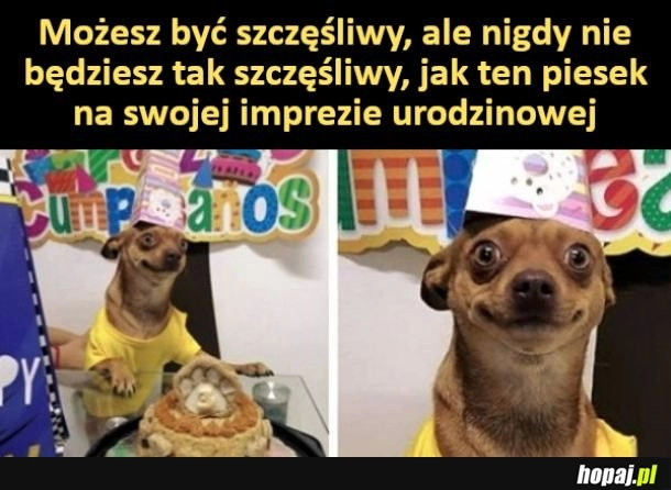 
    Możesz być szczęśliwy, ale...