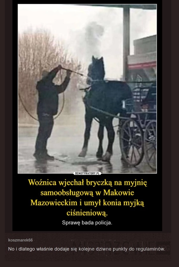 
    Myjnia dla myślących