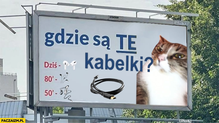 
    Gdzie są te kabelki kot kotek bilbord billboard