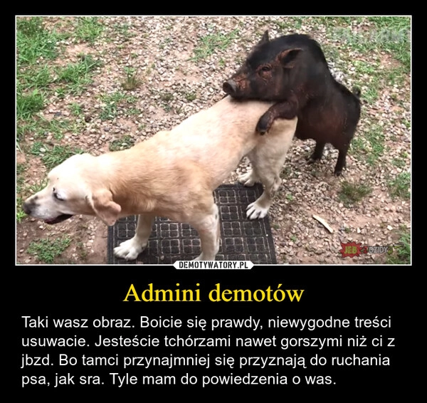 
    Admini demotów