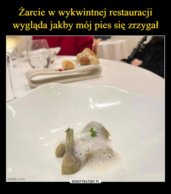 
    Żarcie w wykwintnej restauracji wygląda jakby mój pies się zrzygał