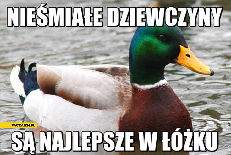 
    Nieśmiałe dziewczyny są najlepsze w łóżku