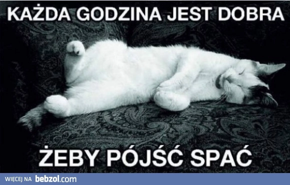 
    Chyba się zdrzemnę