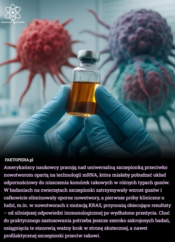 
    Amerykańscy naukowcy pracują nad uniwersalną szczepionką przeciwko nowotworom