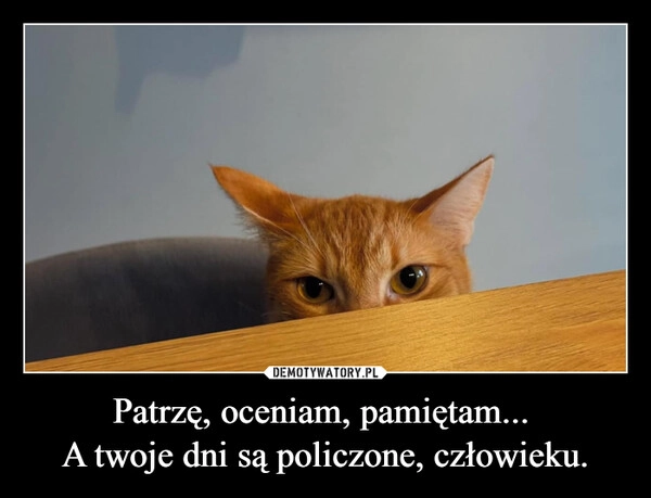 
    Patrzę, oceniam, pamiętam... 
A twoje dni są policzone, człowieku.