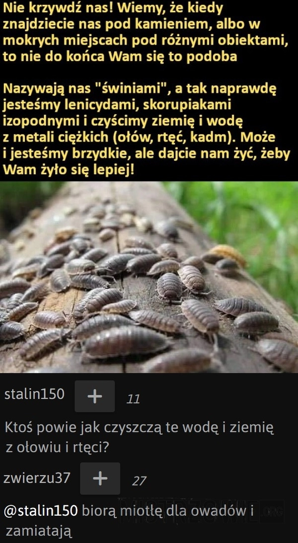 
    Nie krzywdź nas