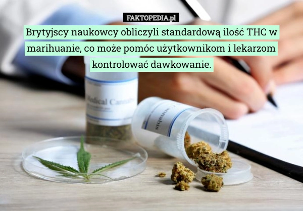 
    Brytyjscy naukowcy obliczyli standardową ilość THC w marihuanie, co może