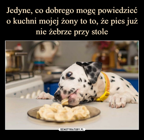 
    Jedyne, co dobrego mogę powiedzieć o kuchni mojej żony to to, że pies już nie żebrze przy stole