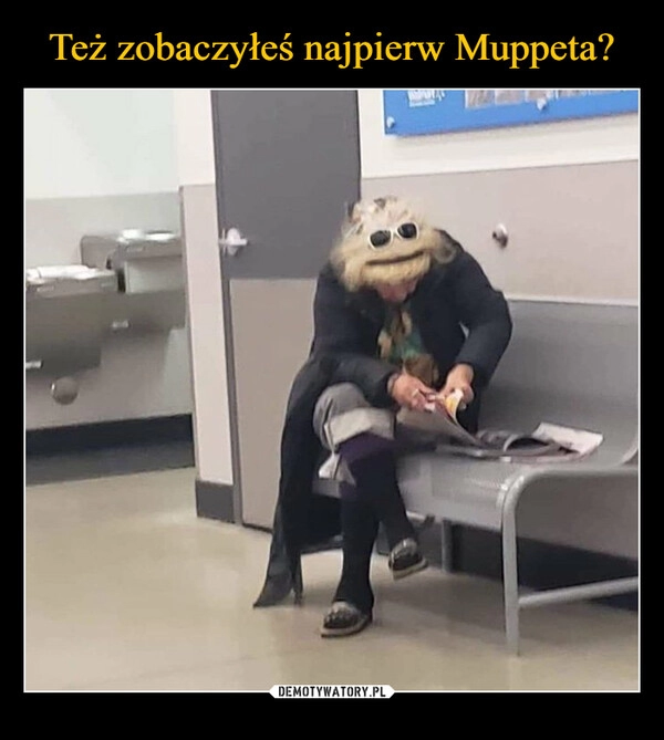 
    Też zobaczyłeś najpierw Muppeta?